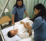 Wendylett Base Sheet